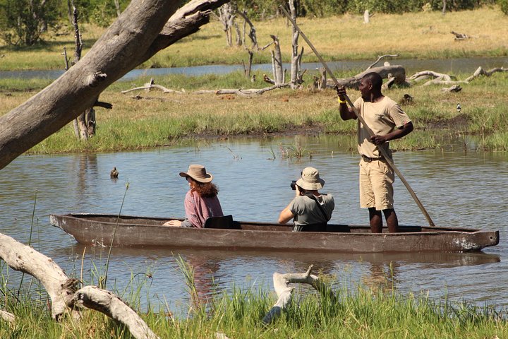 Is Botswana great Africa safari destination       